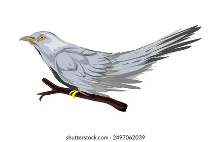 illustration of a bird icon perched on a tree branch without a background
