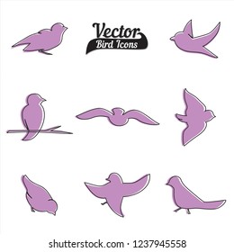 Illustration Bird Icons