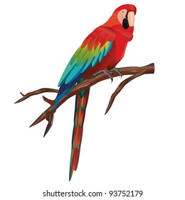 Illustration of bird macaw parrot sitting on branch, isolated on white background. Vector illustration