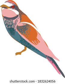 ilustración de un ave Merops apiaster
