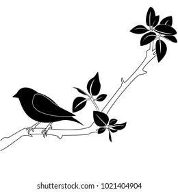 Illustration of a bird on a branch. Vector