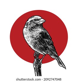 Ilustración de pájaro en rojo
