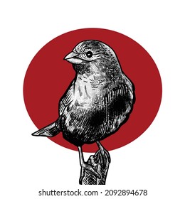 Illustration of bird on red