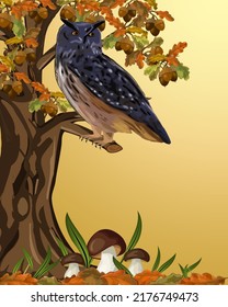 Illustration with a bird on a tree branch.An owl sits on an oak branch in color vector illustration.