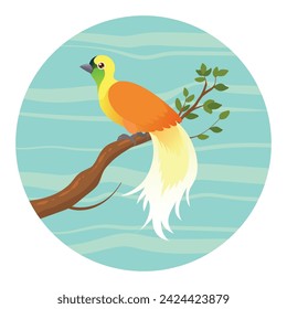 
illustration of the bird of paradise from the island of Papua