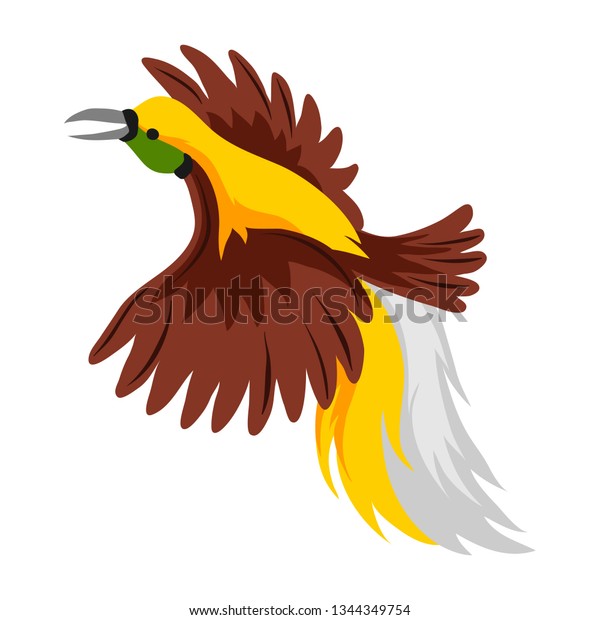 Illustration Bird Paradise Tropical Exotic Animal Stock Vector (Royalty ...