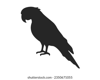 Illustration of bird parakeet silhouette.