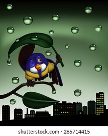 Illustration of bird in the rain.