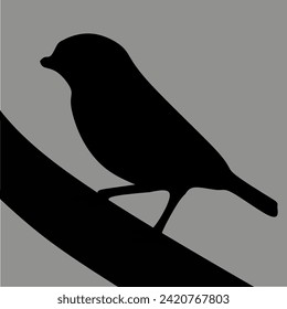 illustration of a bird silhouette on a white background