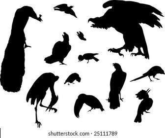 illustration with bird silhouettes isolated on white background