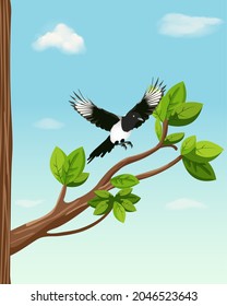 Illustration of a bird sitting on a tree branch. Vector of a Magpie bird