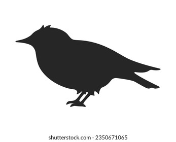 Illustration of bird starling silhouette.