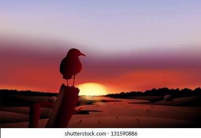 Illustration of a bird in a sunset view of the desert