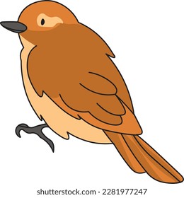 Illustration eines Vogel-Vektorcartoons mit lustigem Vogel, der einzeln auf Weiß fliegt