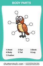 Illustration of bird vocabulary part of body,Write the correct numbers of body parts.vector