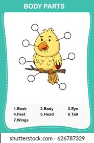 Illustration of bird vocabulary part of body,Write the correct numbers of body parts.vector