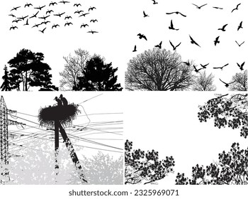 illustration with birds above trees branches  on white background