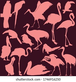 illustration with birds collection on dark background