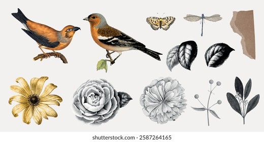 Illustration of birds, flowers, and leaves. Birds perched, flowers in bloom, leaves detailed. Nature-themed design with birds, flowers, and leaves. Animal illustrations, isolated element vector set.