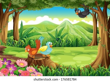 Illustration of the birds at the forest