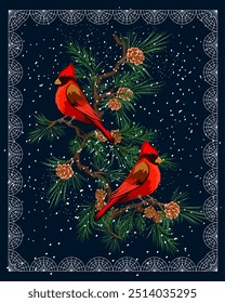 Illustration with birds in a frame.Vector illustration with cardinal birds on a pine branch on a colored background with a frame and snow.