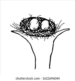 Illustration of a bird's nest with two eggs on a tree in the style of a child's drawing doodle style isolated black on a white background