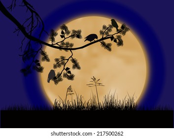 illustration with birds on pine tree branch under full moon