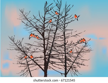 illustration with birds on winter tree