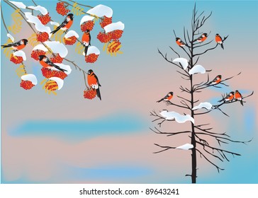 illustration with birds on winter trees