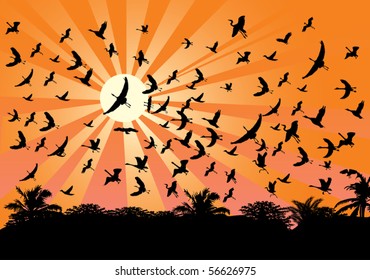 illustration with birds and trees at sunset