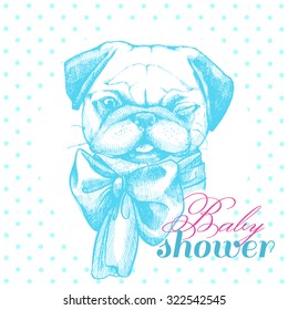 Illustration for birthday newborn boy. Baby shower. Cute Pug in blue. Cards, cards, posters and invitations.