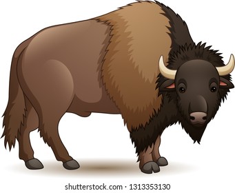 Illustration of bison isolated on white background