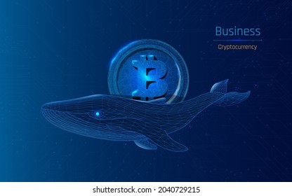 illustration bitcoin and whale. the digital concept of big money, traders, Big player in the market or exchange with huge capital. Money or cryptocurrency. wireframe. low poly. plexus. triangle. dot