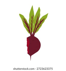 Ilustração de uma beterraba mordida. Beterraba com folhas verdes. Beterraba vegetal. Comida saudável. Design plano. Ilustração de beterraba em estilo cartoon