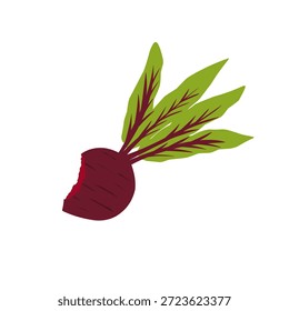 Ilustração de uma beterraba mordida. Beterraba com folhas verdes. Beterraba vegetal. Comida saudável. Design plano. Ilustração de beterraba em estilo cartoon