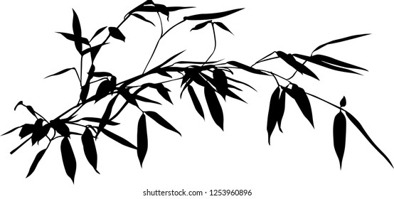 illustration with black bamboo branch isolated on white bacground