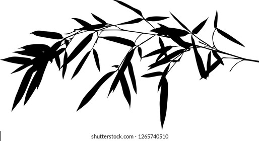 illustration with black bamboo branch isolated on white bacground