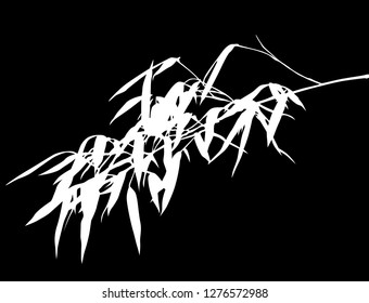 illustration with black bamboo branch isolated on black bacground
