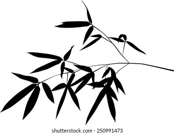 illustration with black bamboo branch isolated on white background
