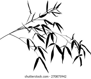 illustration with black bamboo branch isolated on white background