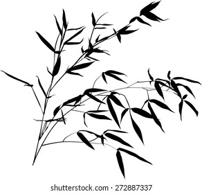 illustration with black bamboo branch isolated on white background