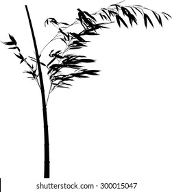 illustration with black bamboo branch isolated on white background