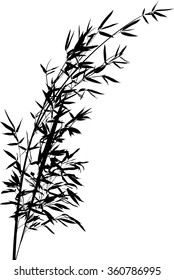 illustration with black bamboo branch isolated on white background