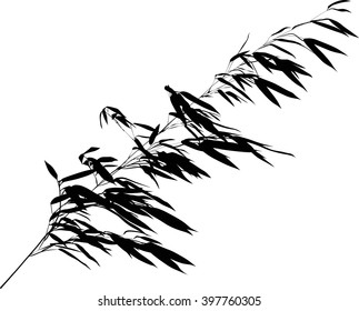 illustration with black bamboo branch isolated on white background