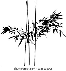 illustration with black bamboo branches isolated on white bacground