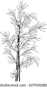 illustration with black bamboo branches silhouette isolated on white background
