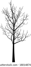illustration with black bare large tree silhouette isolated on white background