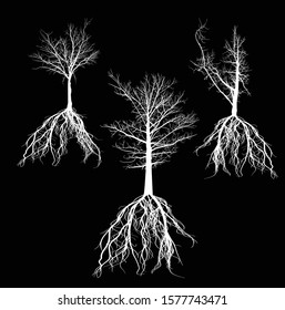 illustration with black bare tree silhouettes isolated on black background