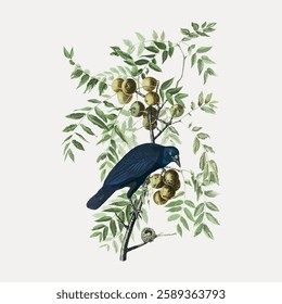 Illustration of a black bird perched on a branch with green leaves and yellow fruits. The bird is central, surrounded by foliage and fruit. Nature-themed artwork. Vintage bird illustration vector.