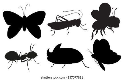 Illustration of the black colored insects on a white background